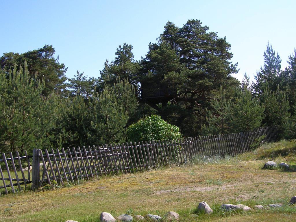 Villa Treimani Puhkemaja Zimmer foto